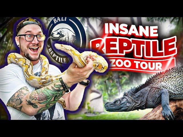 I Can't Believe These Reptiles Exist! | Reptile Zoo Tour with @davkaufmansreptileadventures