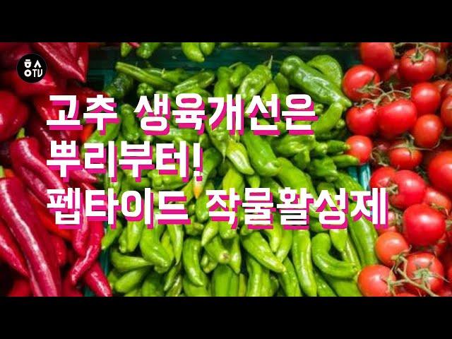 [한스연TV] 고추 생육개선 뿌리부터 시작, 펩타이드 작물활성제
