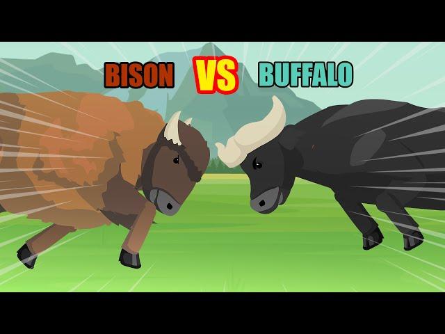 Bison vs Buffalo | Animal Tournament [S1] | Animal Animation