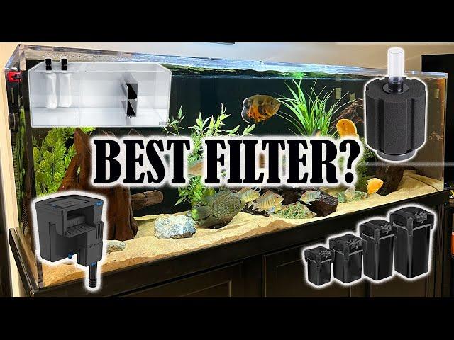 Aquarium Filtration | Which Type of Filter is Best for You?