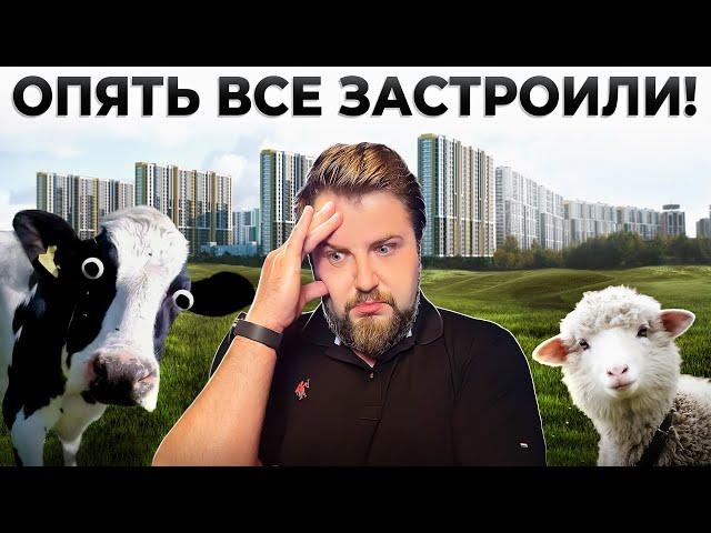 Было ПОЛЕ - стал ГОРОД! Комендантский проспект: самые знаковые новостройки и история района