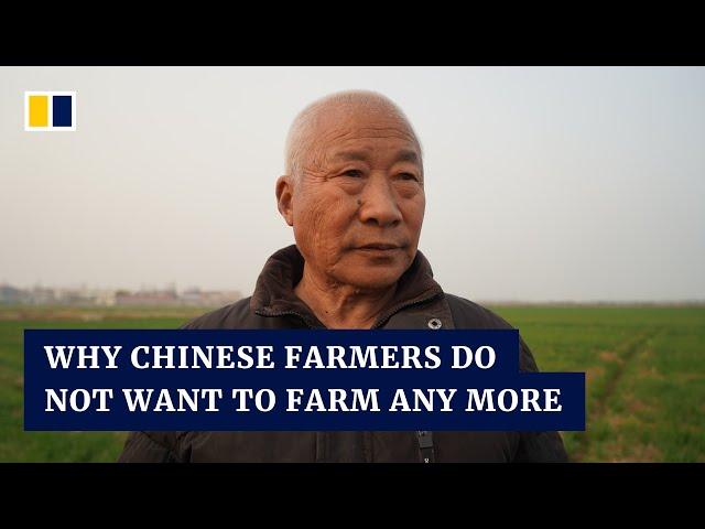 Chinese farmers give up on making a living from the land despite government focus on food security