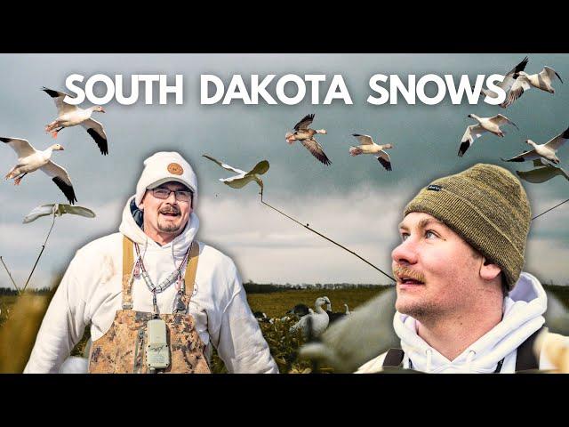 SNOW GOOSE HUNT 2024 in South Dakota