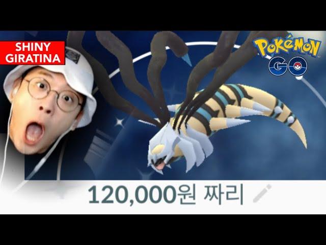 알바 15시간 해서 번 돈 기라티나 이로치에 날렸습니다.
