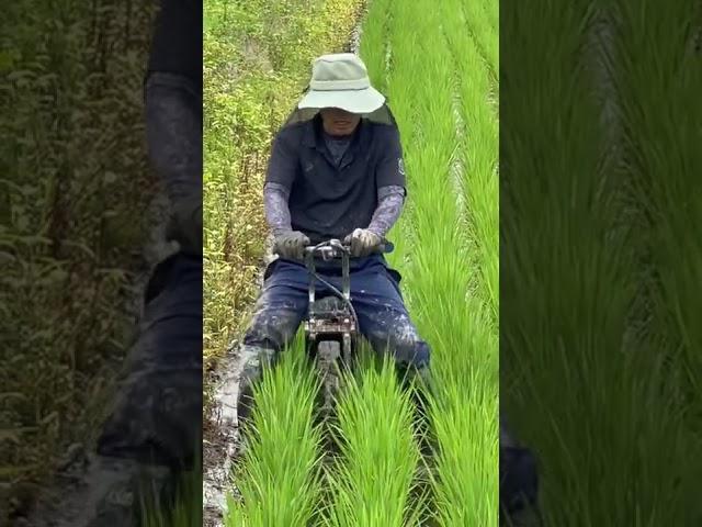 Japanese Agriculture/Best Technology’s/#Shots ￼