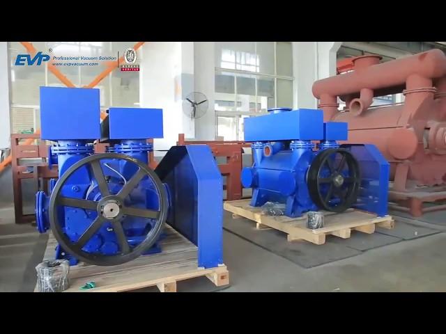 EVP Liquid Ring Vacuum Pump Manufacturer