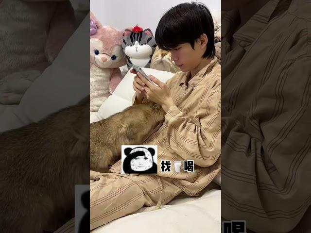 【牛奶是只猫】现眼包竟然把我当成他的妈妈了？？