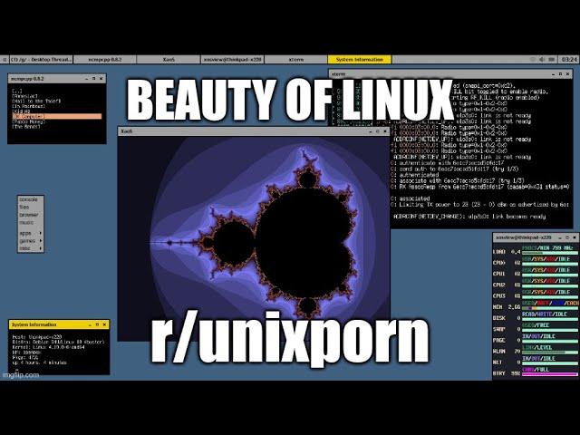 Best Linux Rice of 2022 - r/unixporn