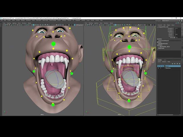 Facial Rigging