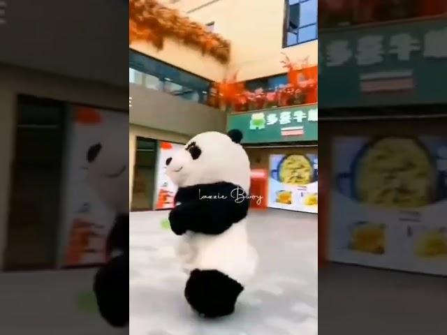 Funny panda prank Video 