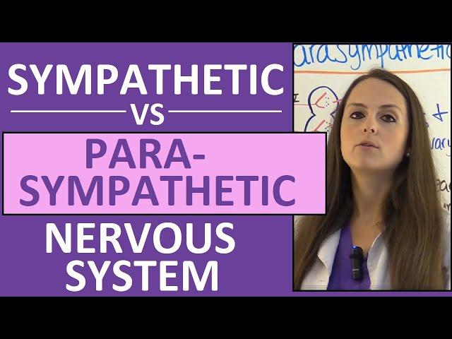 Sympathetic and Parasympathetic Nervous System (Autonomic) Anatomy, Pharmacology Nursing