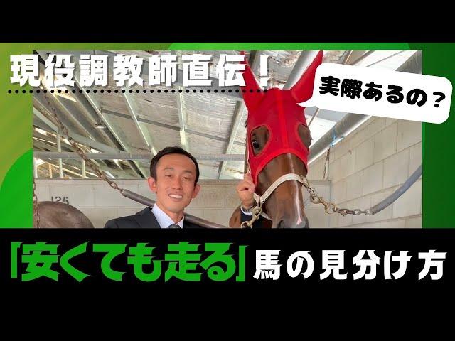 【調教師に聞く】脚が曲がっていてもOK!?”理想の歩様”と安くても走る馬を探す方法 byJAPANOZ中條調教師