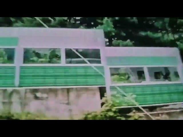 #아라리 tv#김재웅 신곡(세월아)# 작사작곡(이해인)