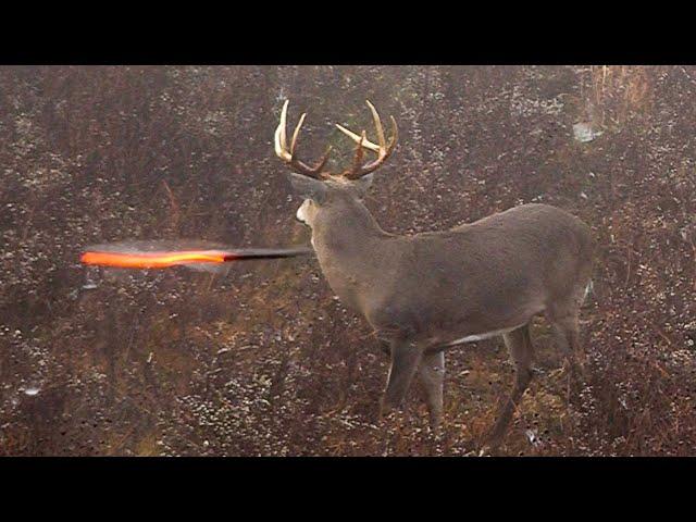 15 Archery Shots in 15 Minutes!  (EPIC Bowhunting Highlights)