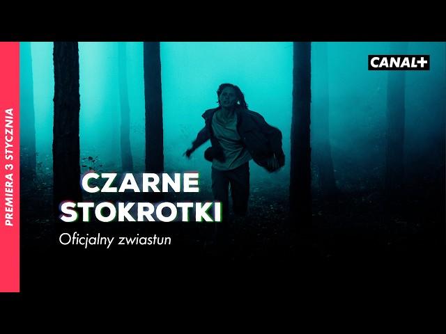 Czarne Stokrotki | Nowy serial CANAL+ | Od 3 stycznia