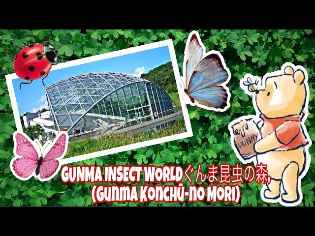 GUNMA INSECT WORLDぐんま昆虫の森, (Gunma Konchū-no Mori)