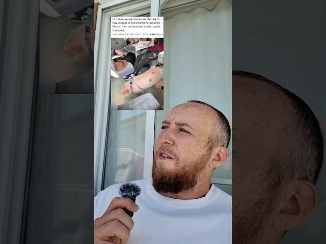 Француженки массово заводят свиней, чтоб зашить себя