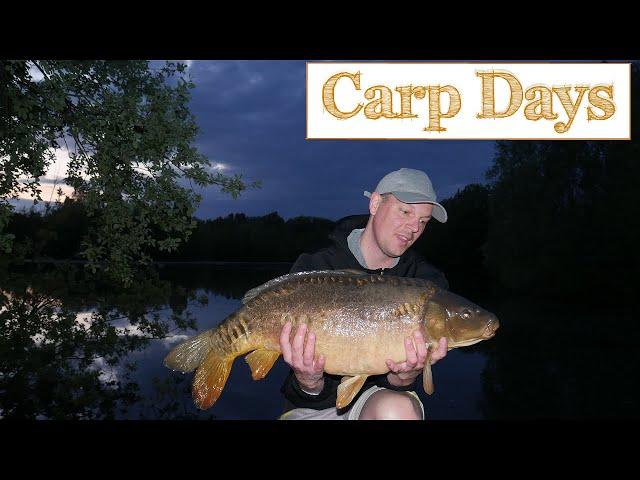 Carp Fishing in Comfort! Fishing from a lodge (Carp Days)