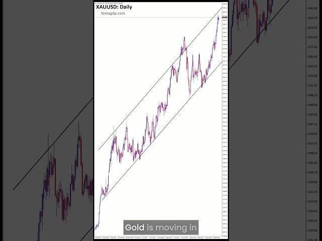 XAUUSD - Gold Rally Continues! Is $XAUUSD the Best Trade Now?  #forexsignals  #gold  #xauusd