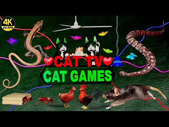 CAT GAMES | ULTIMATE CAT TV COMPILATION | ENTERTAINMENT VIDEO FOR CATS TO WATCH 4K, 8-HOURS | 