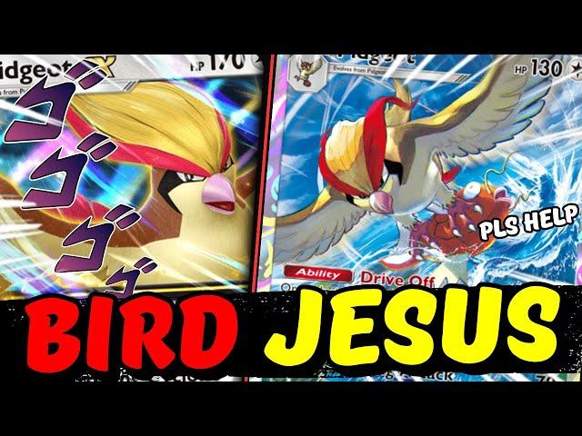 FORGOTTEN PIDGEOT IS BACK! ALL HAIL BIRD JESUS | Pokemon TCG Pocket
