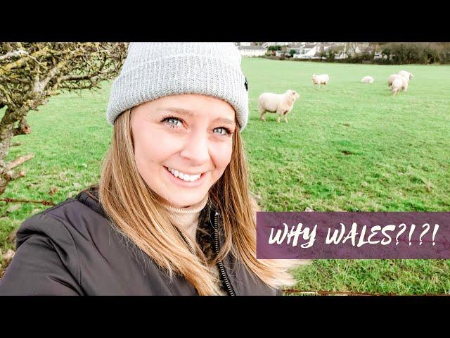 Why Wales? | Visa ?| Work ? | American Living in the UK