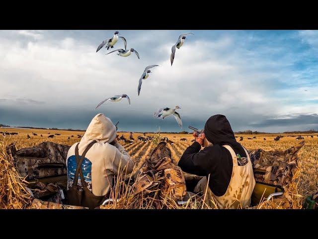 EPIC ALBERTA PINTAIL BEATDOWN! 4 MAN LIMIT