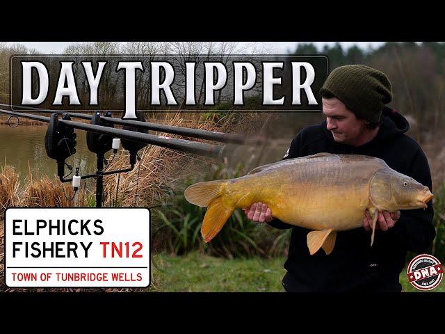 ***DAY-SESSION CARPING*** | DAY TRIPPER | CARP FISHING | DNA BAITS | ELPHICKS FISHERY | OLLY SANDERS