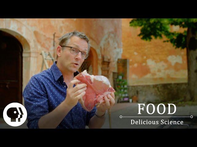 FOOD - DELICIOUS SCIENCE | The Maillard Reaction: The Science Of The Sizzle | Clip | PBS Food