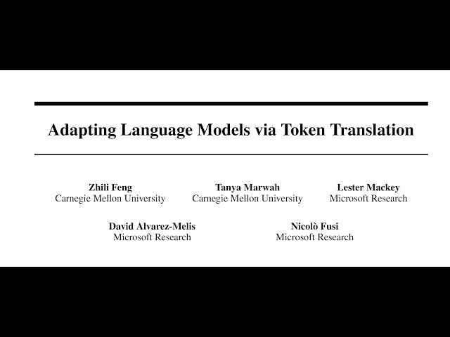 Adapting Language Models via Token Translation