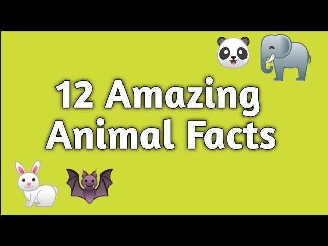 Amazing Facts About Animals @SelfWritingWorld