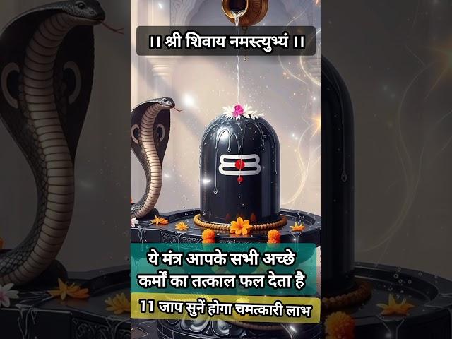 श्री शिवाय नमस्तुभ्यम् इस मंत्र से क्या फायदा है