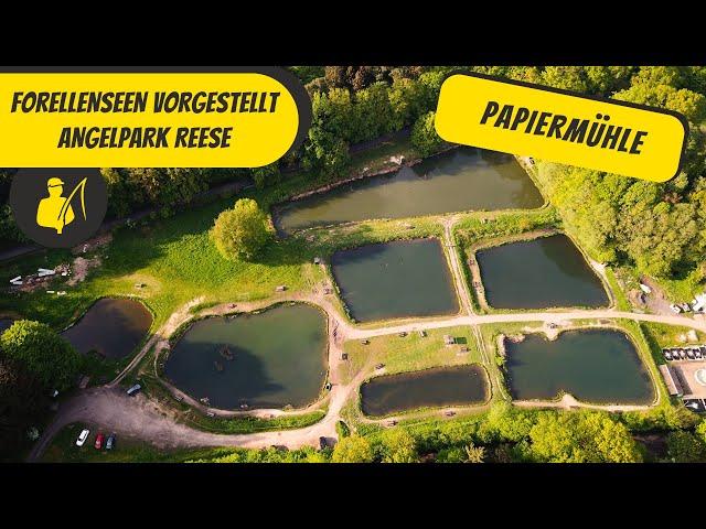 Forellenseen vorgestellt: Angelpark Reese / Papiermühle