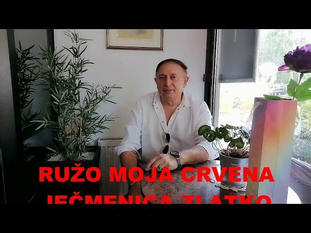 RUŽO MOJA CRVENA  JEČMENICA ZLATKO