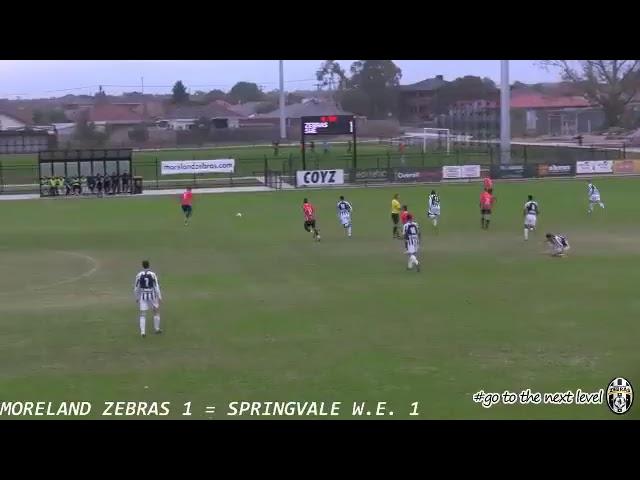 Moreland Zebras Live Stream