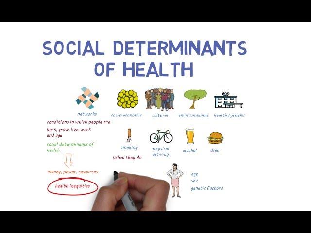 What Makes Us Healthy? Understanding the Social Determinants of Health