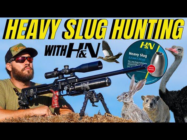 AIR GUN HUNTING WITH H&N HEAVY SLUGS I LONG RANGE AIRGUN HUNTNG I H&N AIR GUN SLUGS  PEST CONTROL