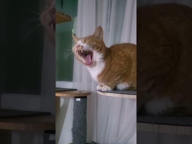 꽃님이#