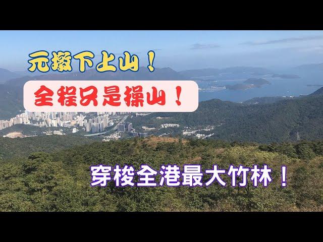 【元墩下上山！】全程只是操山！【一路行一路講】