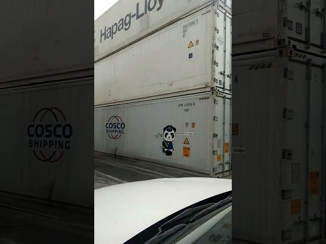 Hutchinson port kict