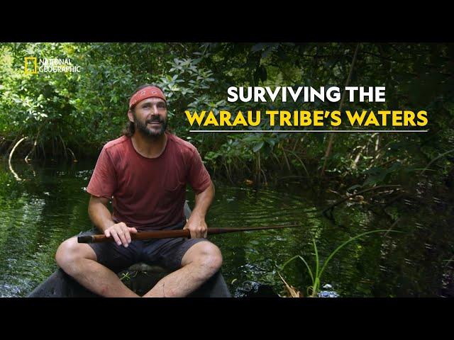 In the Amazon with Warau Tribe | Primal Survivor: Escape the Amazon | हिंदी | S1 - E5 | Nat Geo