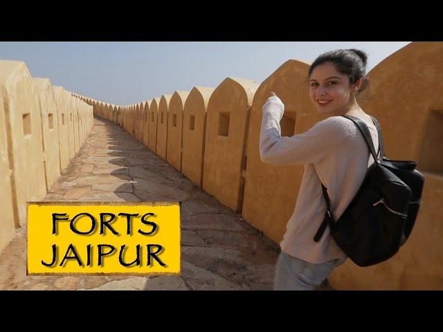 Forts- Amber,Nahargarh & Jaigarh || Jaipur