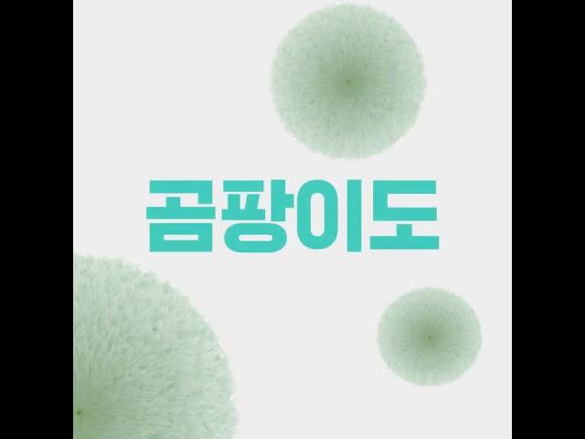 [스낵 영상] 빅타이포 위니아 제습기
