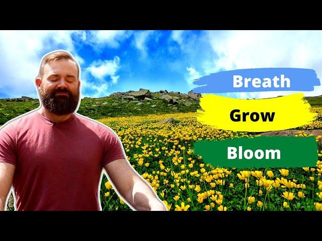 Guided Deep Breathing For Growth and Blooming