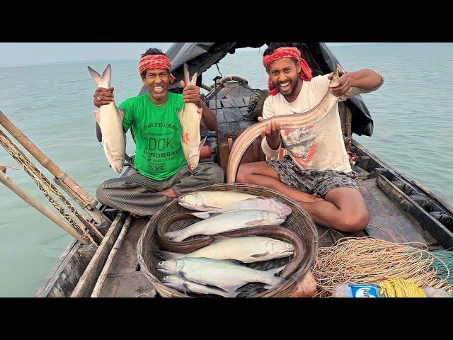 আজ মাতলা নদীতে বড়শি দিয়ে বেশ ভালো তেরো মাছ পেলাম!!! wildlife of sundarban part - 1