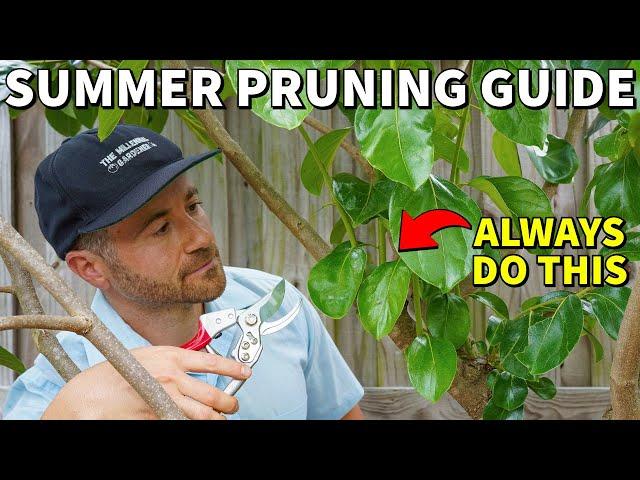 Do This NOW, Prune Less Later: A Guide To Summer Pruning Fruit Trees