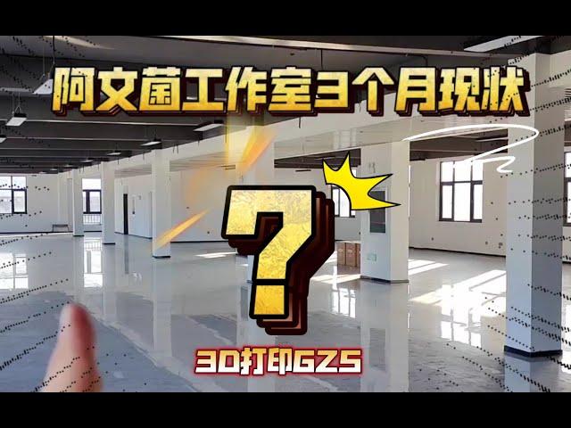 阿文菌3D打印工作室成立3个月现状！除了代打，还有哪些业务呢？欢迎多多交流。