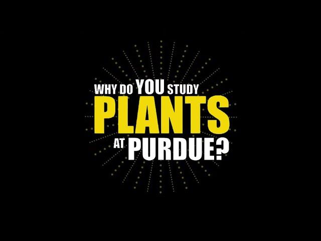 Plant Sciences: Why I Study Plants