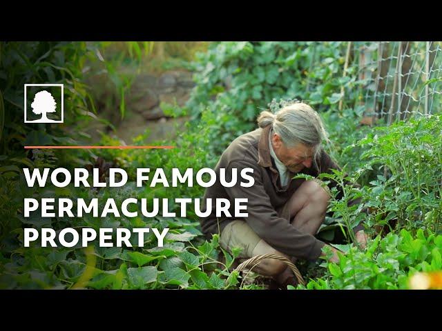 World Famous Permaculture Property Tour – David Holmgren and Su Dennett's Melliodora