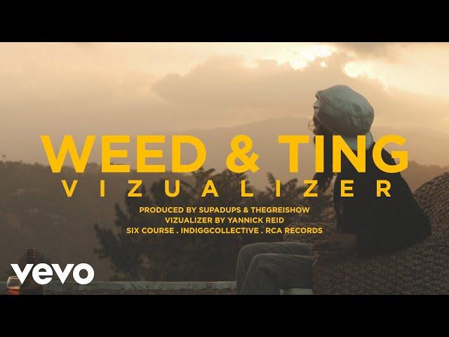 Protoje - Weed & Ting (Visualizer)